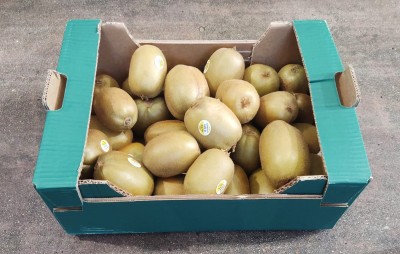 Foto Kiwi Hayward Calibro 23 Marchio Battaglio     1